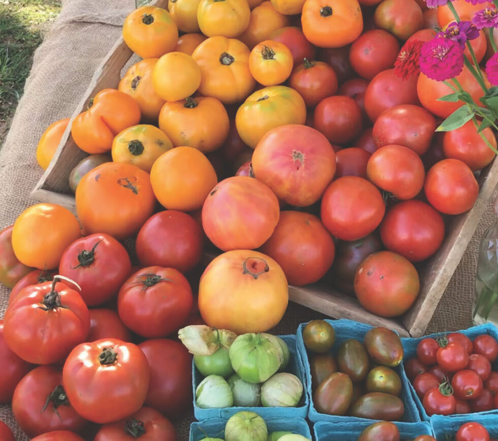 Jeffersonville New York